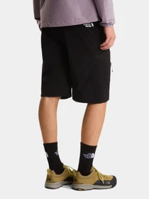 Шорты The North Face модель NF0A8FU9JK31 Фото