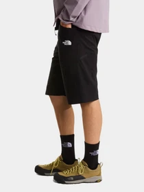 Шорты The North Face модель NF0A8FU9JK31 Фото