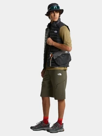 Шорты The North Face модель NF0A8FU921L1 Фото