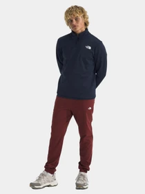 Худи и свитшоты The North Face модель NF0A8AZE8K21 Фото
