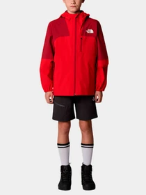 Брюки The North Face модель NF0A8AXQKT01 Фото