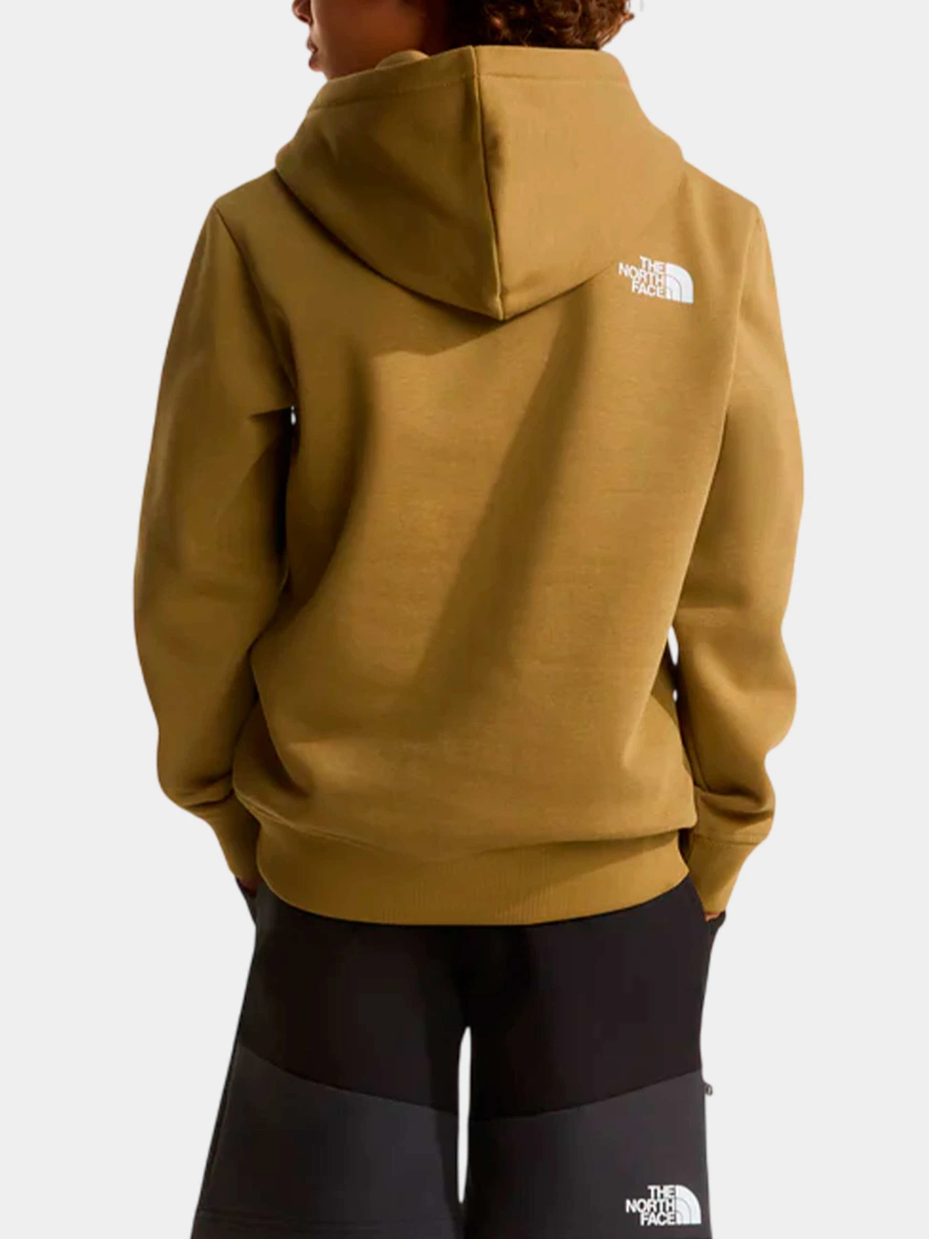 Худи и свитшоты The North Face модель NF0A8G1V2EL1 Худи и свитшоты The North Face модель NF0A8G1V2EL1 Фото