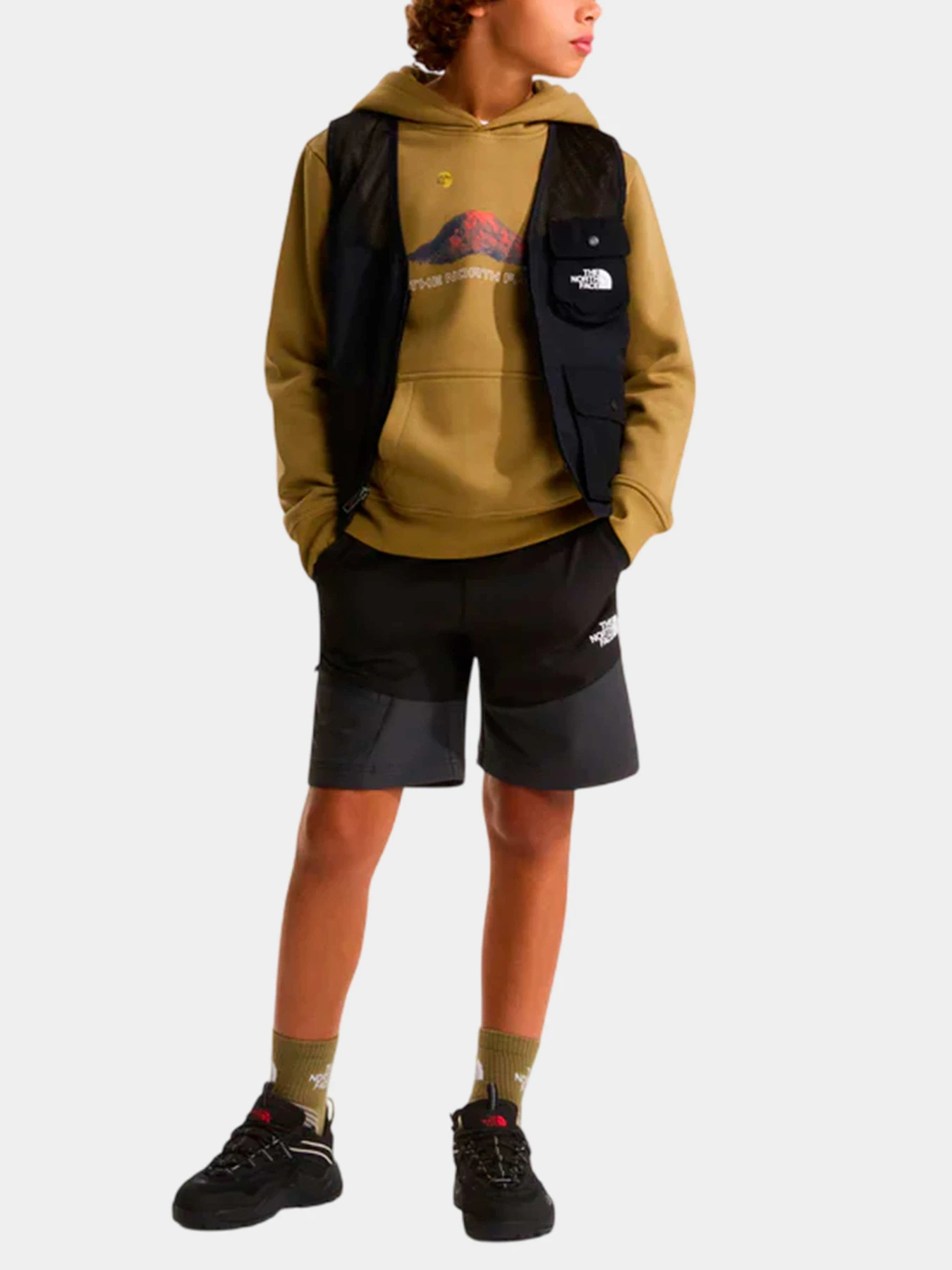 Худи и свитшоты The North Face модель NF0A8G1V2EL1 Худи и свитшоты The North Face модель NF0A8G1V2EL1 Фото