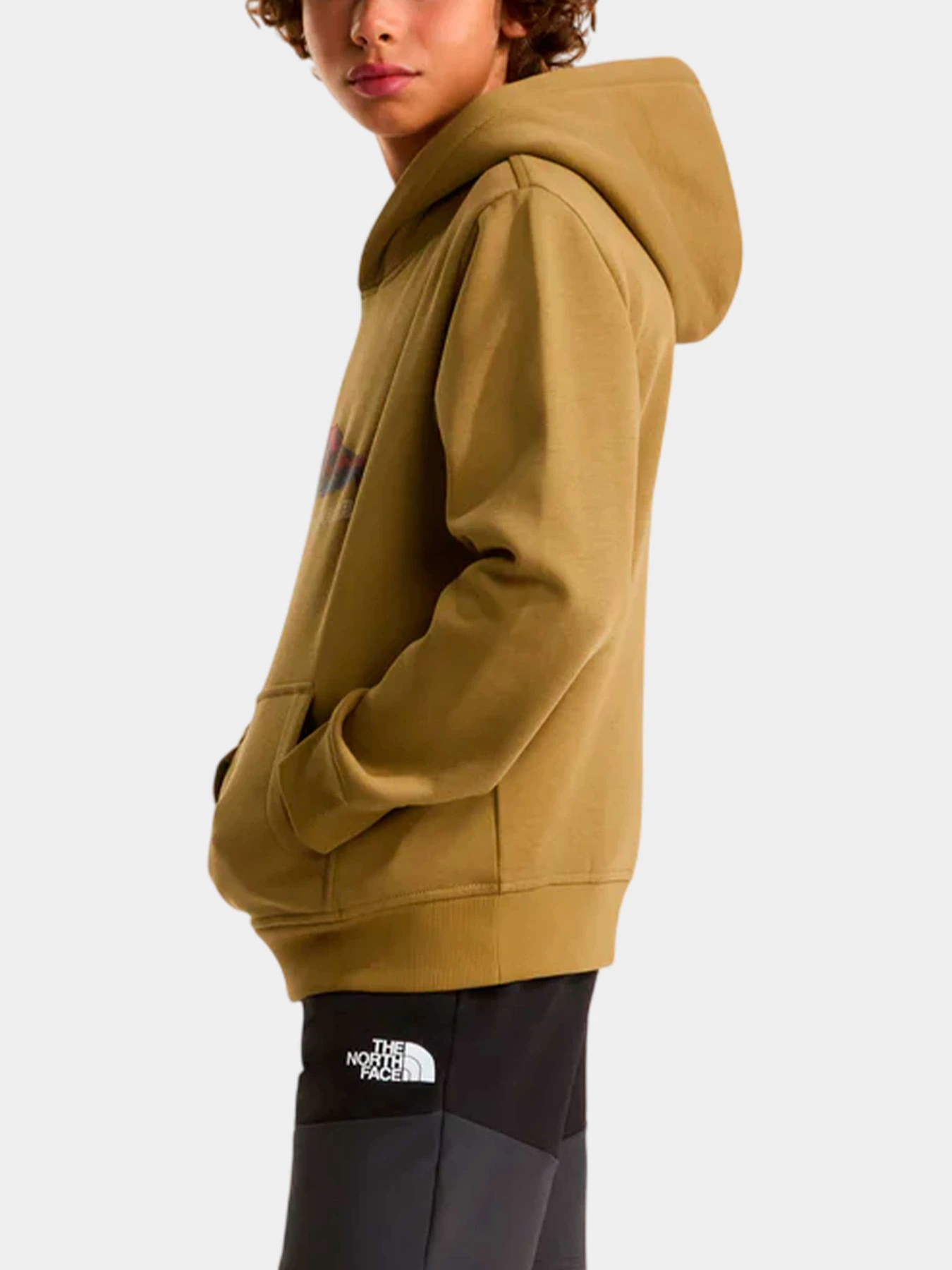 Худи и свитшоты The North Face модель NF0A8G1V2EL1 Худи и свитшоты The North Face модель NF0A8G1V2EL1 Фото