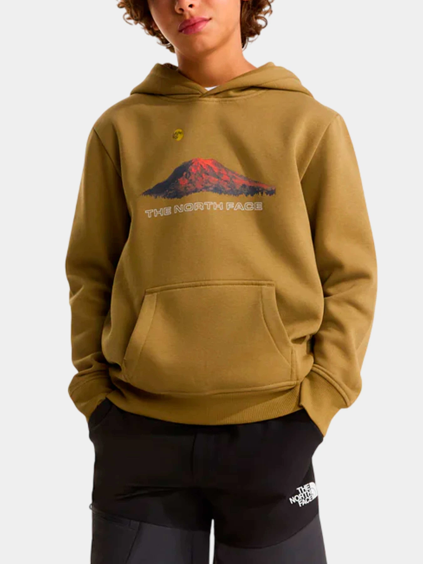 Худи и свитшоты The North Face модель NF0A8G1V2EL1 Худи и свитшоты The North Face модель NF0A8G1V2EL1 Фото
