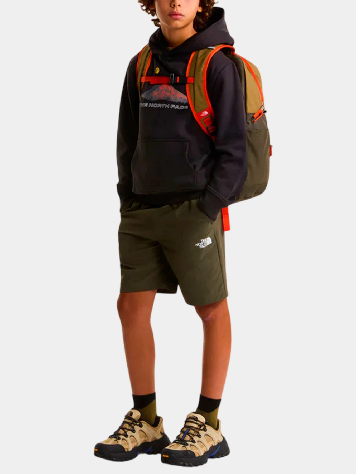 Худи и свитшоты The North Face модель NF0A8G1VJK31 Худи и свитшоты The North Face модель NF0A8G1VJK31 Фото