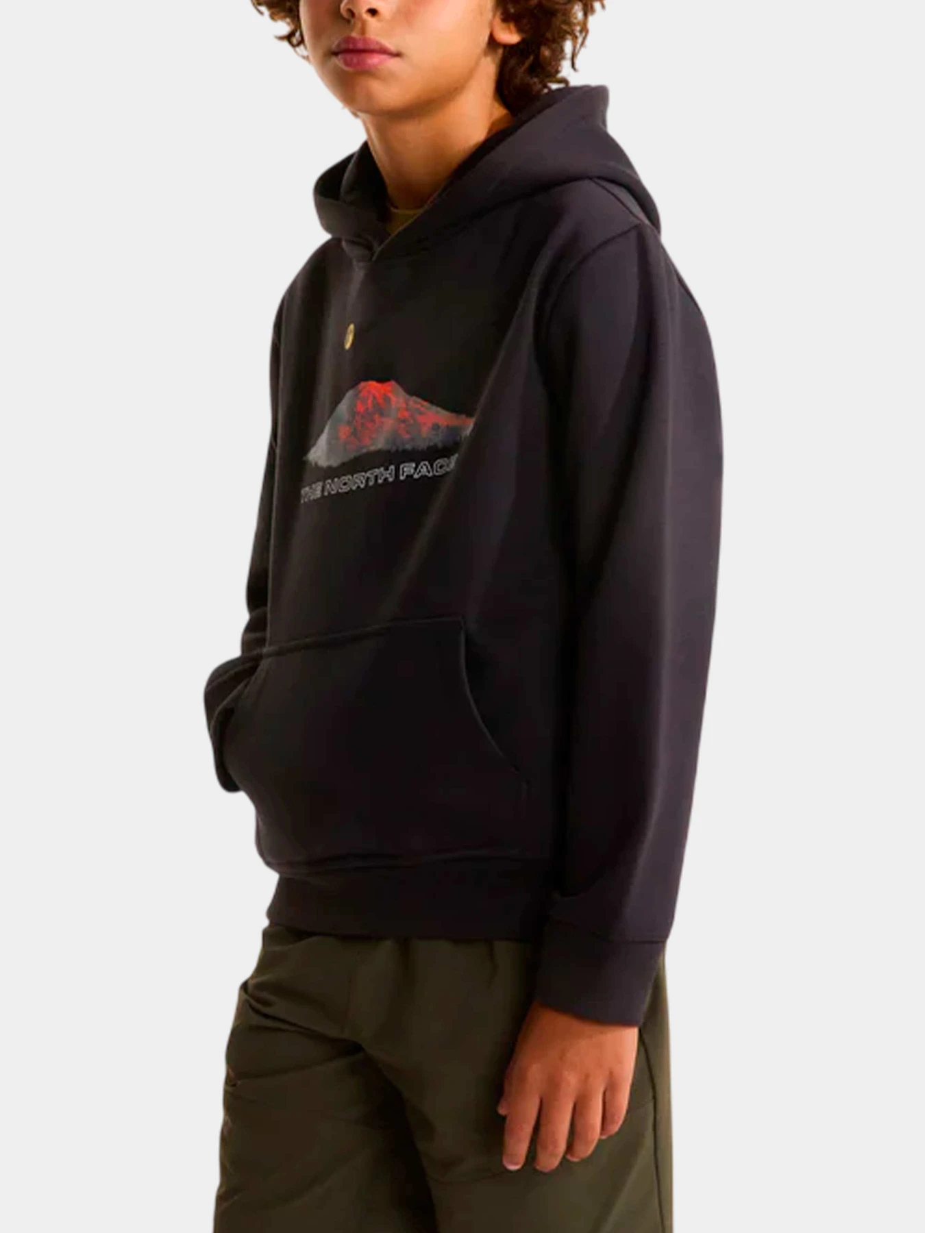 Худи и свитшоты The North Face модель NF0A8G1VJK31 Худи и свитшоты The North Face модель NF0A8G1VJK31 Фото