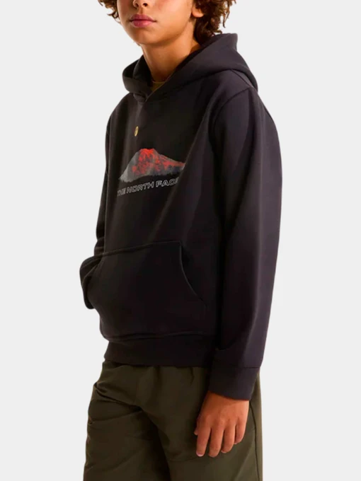 Худи и свитшоты The North Face модель NF0A8G1VJK31 Фото