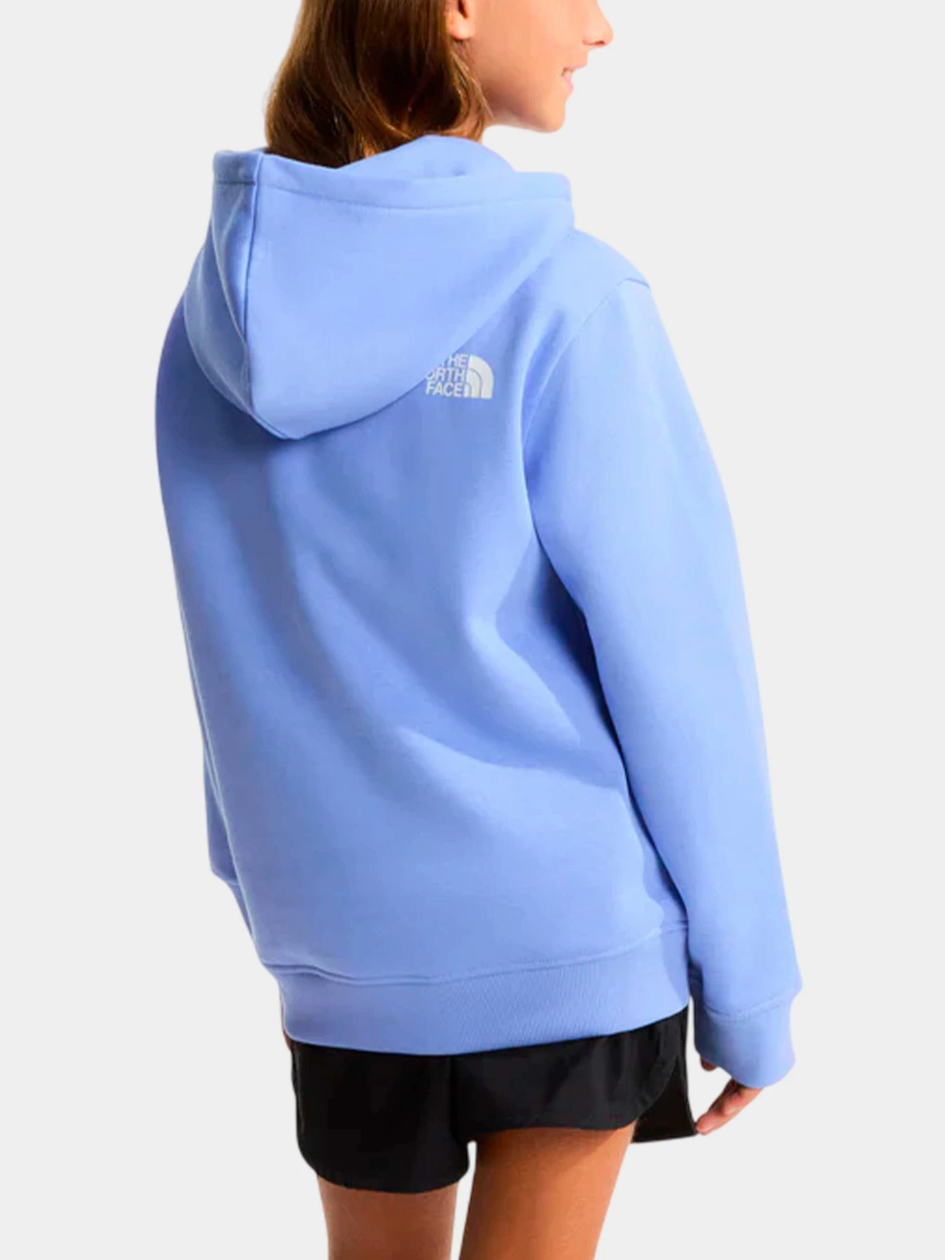 Худи и свитшоты The North Face модель NF0A8G1RG741 Худи и свитшоты The North Face модель NF0A8G1RG741 Фото