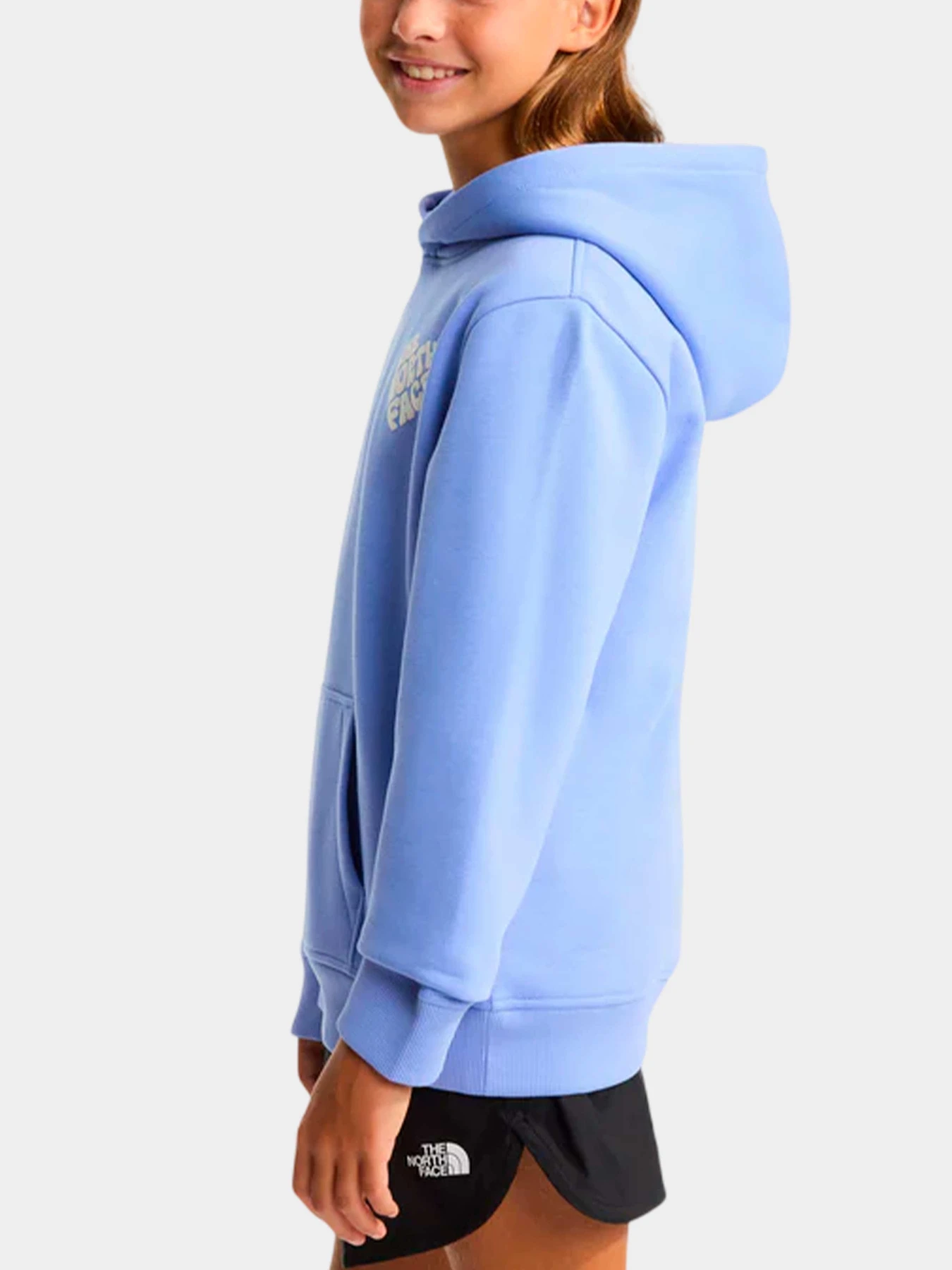 Худи и свитшоты The North Face модель NF0A8G1RG741 Худи и свитшоты The North Face модель NF0A8G1RG741 Фото