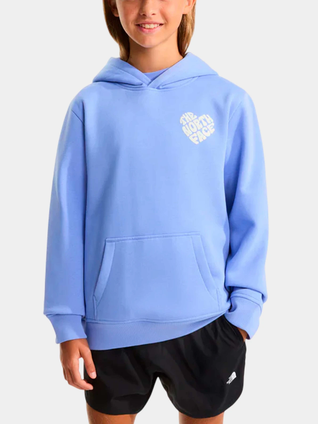 Худи и свитшоты The North Face модель NF0A8G1RG741 Худи и свитшоты The North Face модель NF0A8G1RG741 Фото