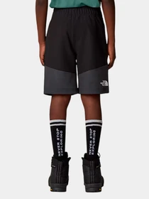 Шорты The North Face модель NF0A8AY2KT01 Фото
