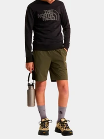 Шорты The North Face модель NF0A8FYV21L1 Фото
