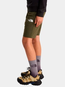 Шорты The North Face модель NF0A8FYV21L1 Фото