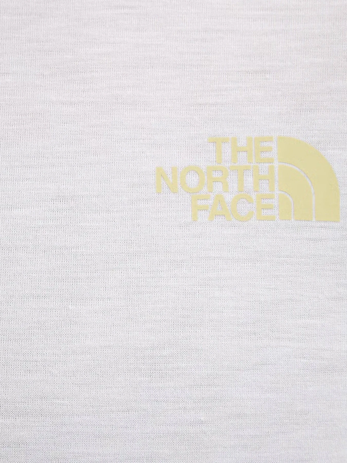 Футболки и поло The North Face модель NF0A8HEYFN41 Футболки и поло The North Face модель NF0A8HEYFN41 Фото