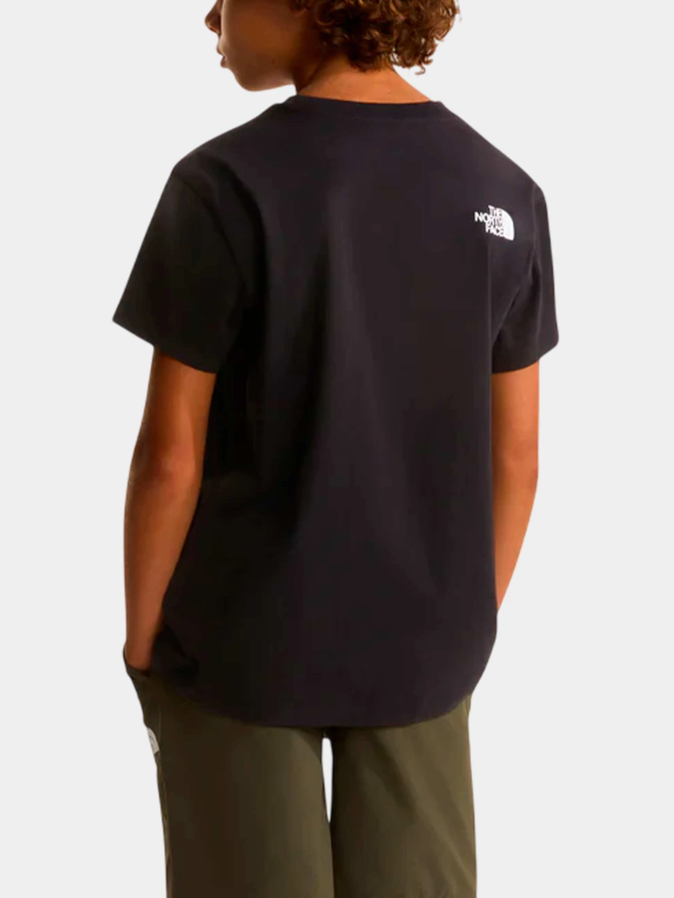 Футболки и поло The North Face модель NF0A8G1UJK31 Футболки и поло The North Face модель NF0A8G1UJK31 Фото