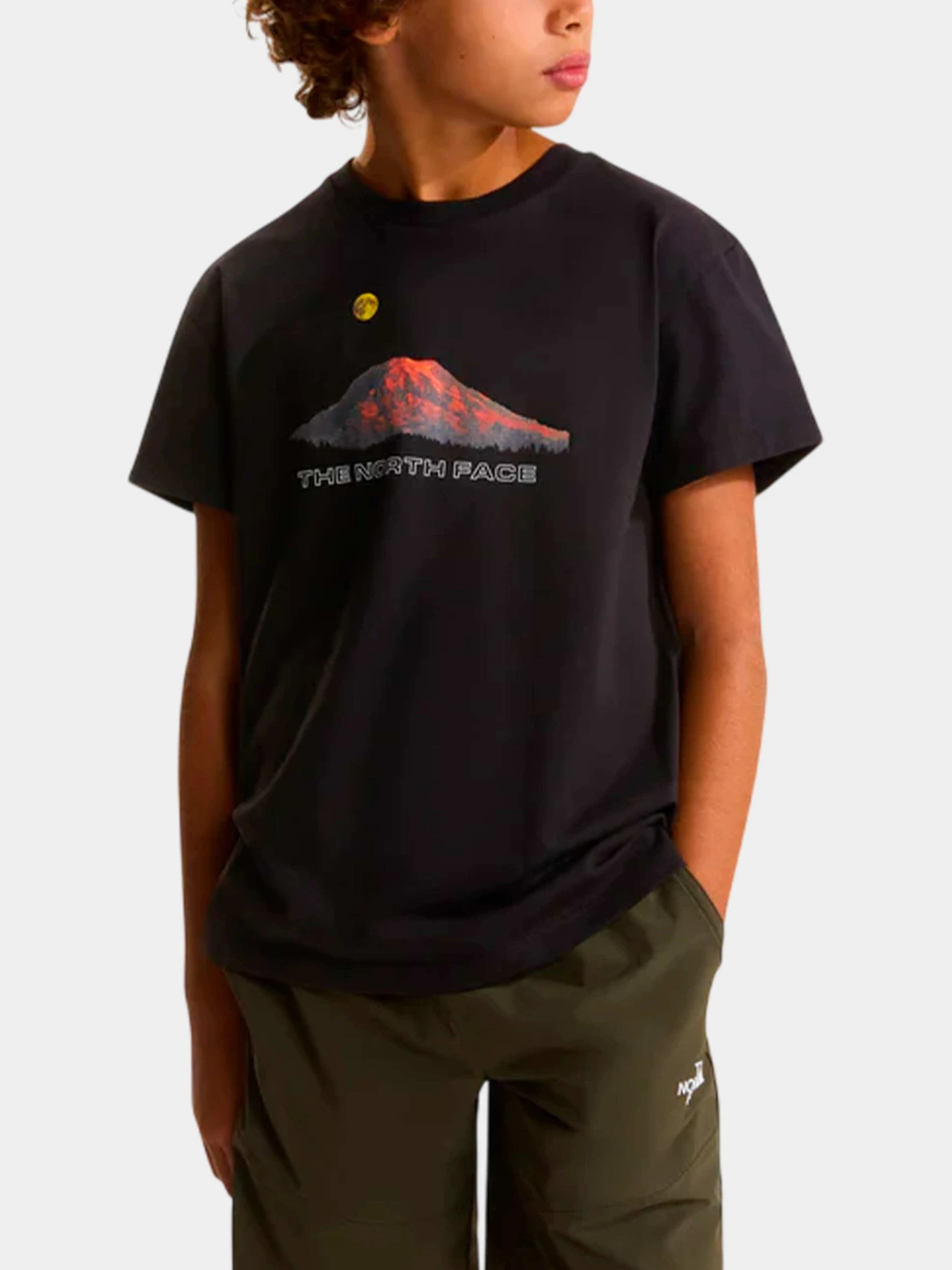 Футболки и поло The North Face модель NF0A8G1UJK31 Футболки и поло The North Face модель NF0A8G1UJK31 Фото