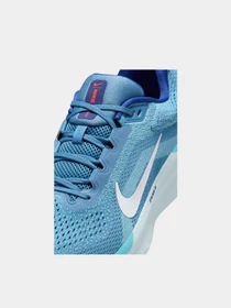 Кроссовки NIKE NIKE AIR WINFLO 11 модель 101993149 Фото