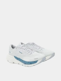 Кроссовки Reebok FLOATZIG DOUBLE модель 102270277 Фото