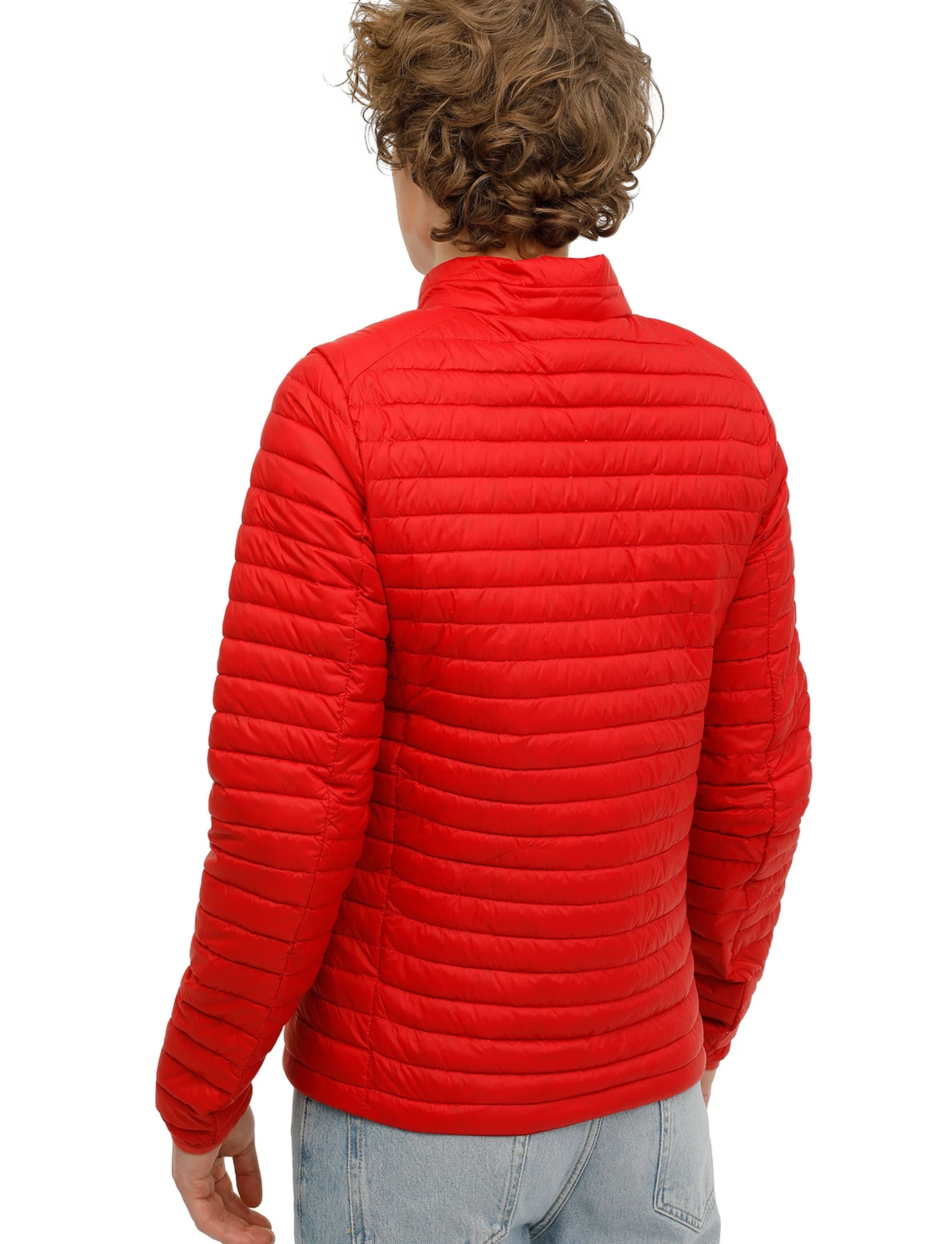 Куртки и дубленки Lumberjack M-SN21 PERRY DOWN JACKET модель 101165528 Куртки и дубленки Lumberjack M-SN21 PERRY DOWN JACKET модель 101165528 Фото