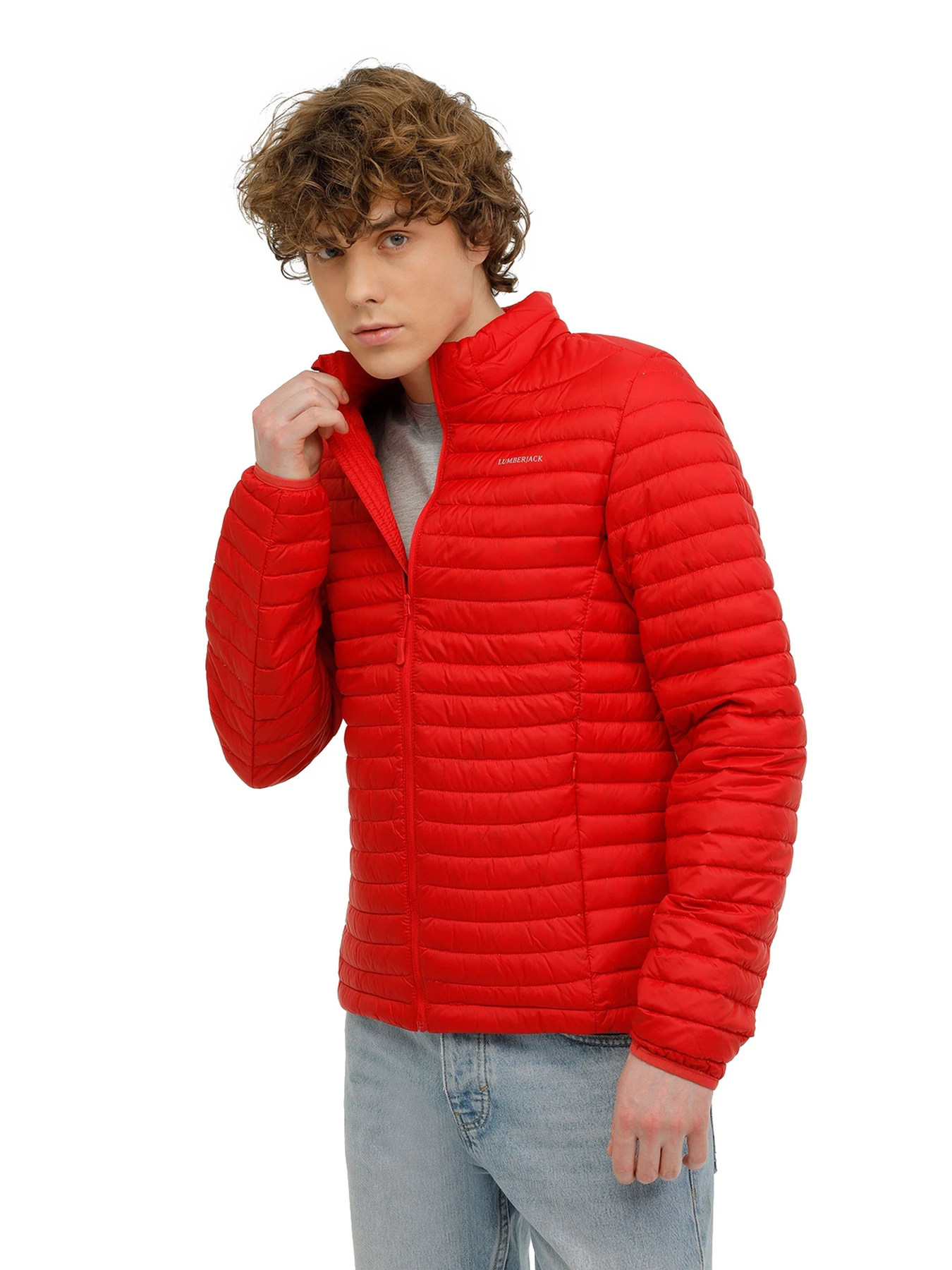 Куртки и дубленки Lumberjack M-SN21 PERRY DOWN JACKET модель 101165528 Куртки и дубленки Lumberjack M-SN21 PERRY DOWN JACKET модель 101165528 Фото