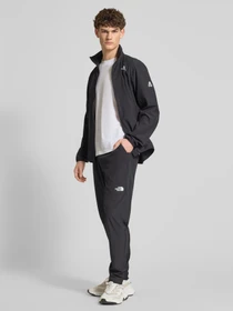 Брюки The North Face модель NF0A8G8FJK31 Фото