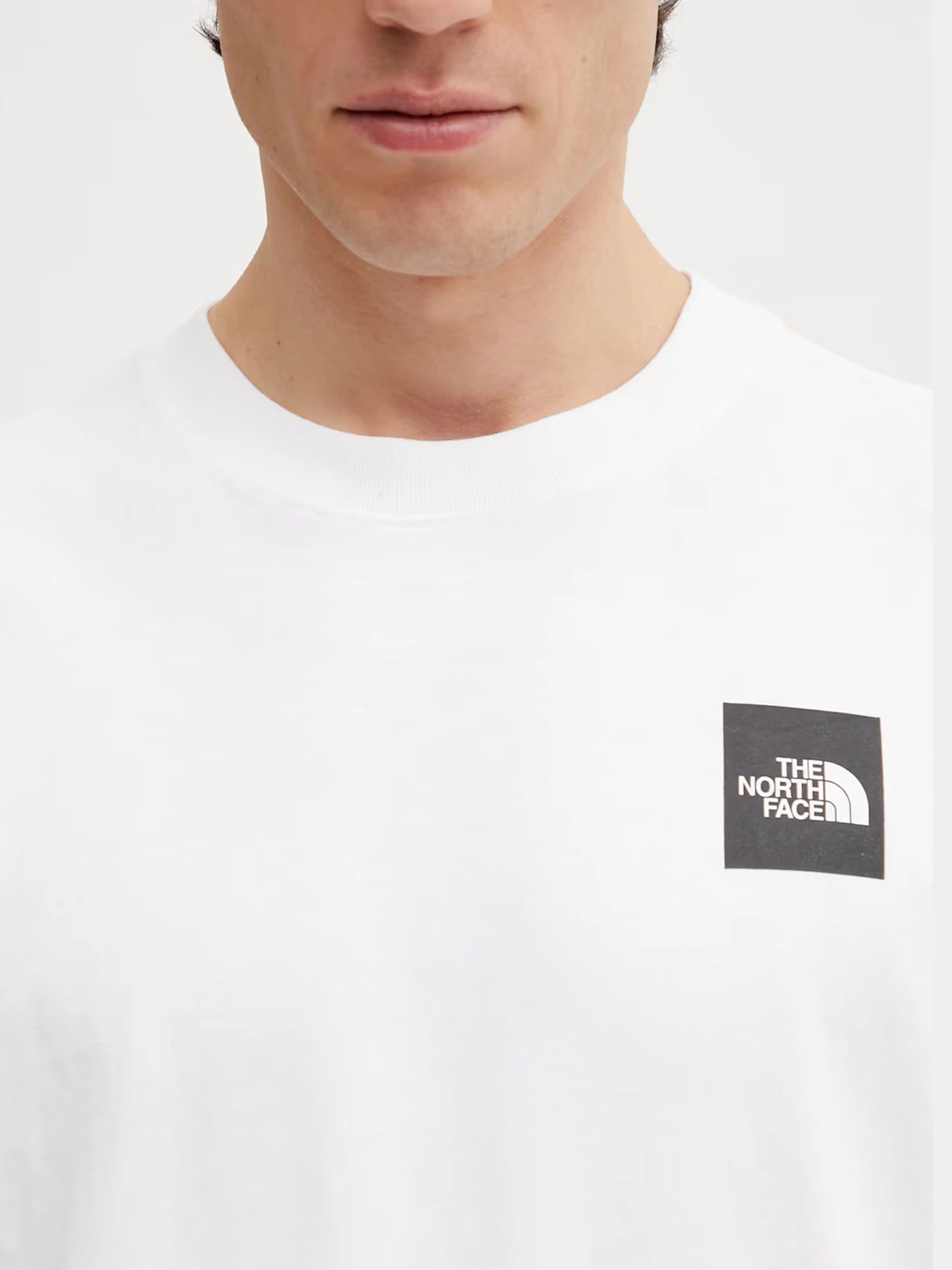Футболки и поло The North Face модель NF0A8G9KFN41 Футболки и поло The North Face модель NF0A8G9KFN41 Фото