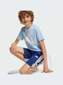 Шорты Adidas Adidas Essentials модель JD6497-KZ Фото