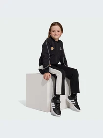Брюки Adidas модель JZ7669-KZ Фото