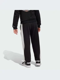 Брюки Adidas модель JZ7669-KZ Фото