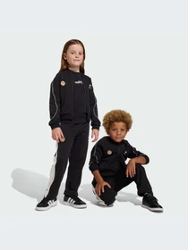 Брюки Adidas модель JZ7669-KZ Фото