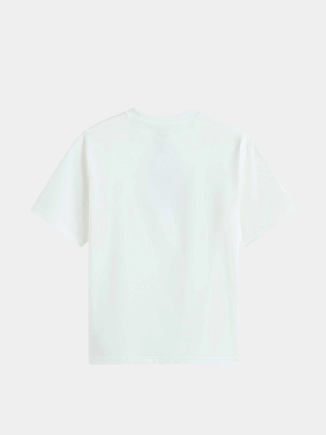 Футболки и поло Vans модель VN000XHSWHT1 Футболки и поло Vans модель VN000XHSWHT1 Фото