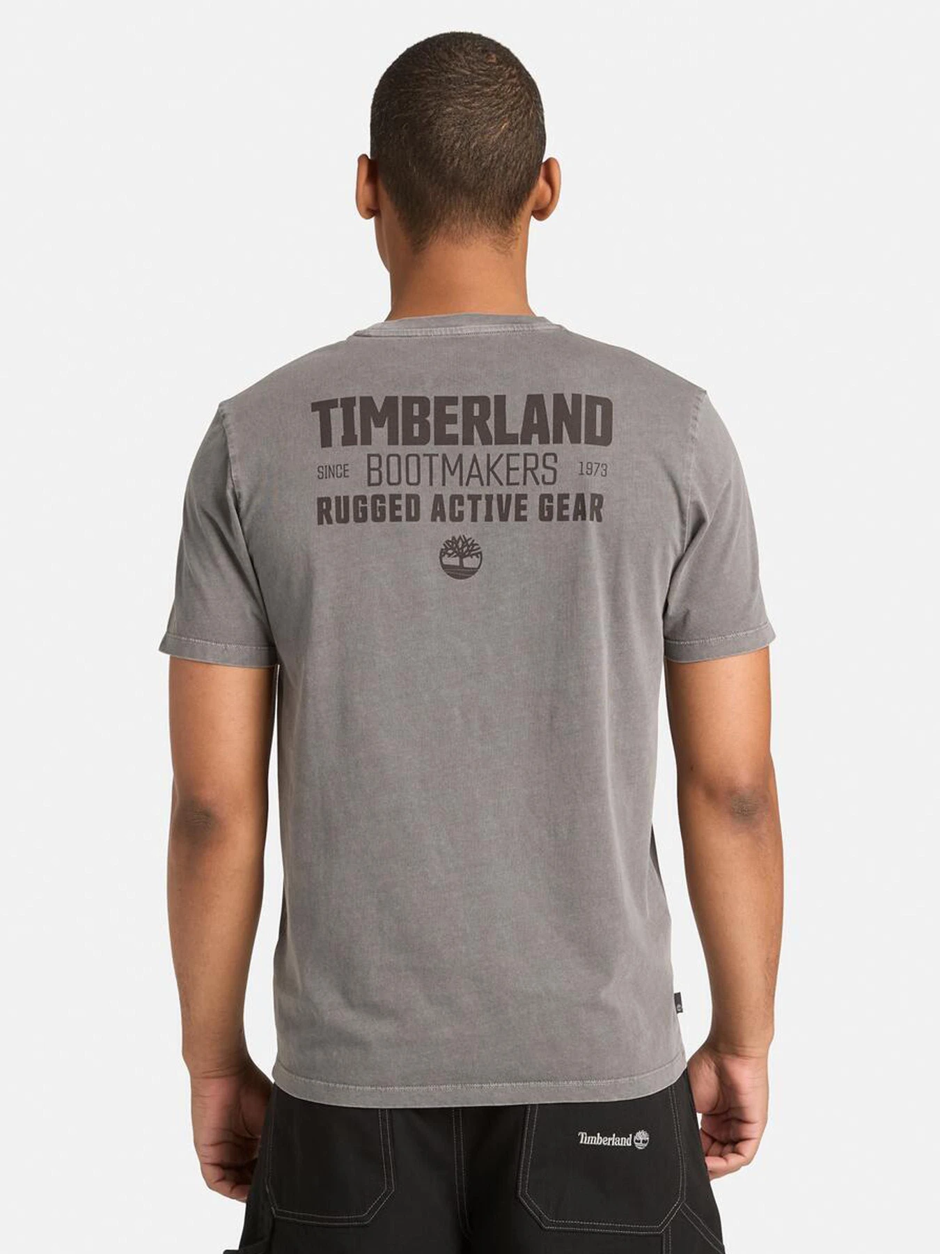 Футболки и поло Timberland модель TB0A41WFW08 Футболки и поло Timberland модель TB0A41WFW08 Фото