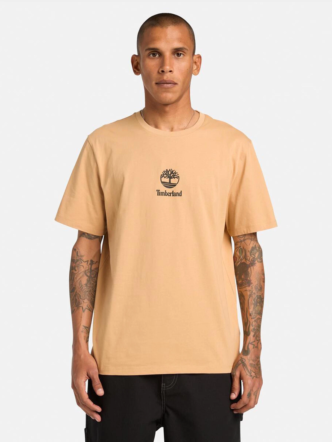 Футболки и поло Timberland модель TB0A6WWTEH3 Футболки и поло Timberland модель TB0A6WWTEH3 Фото