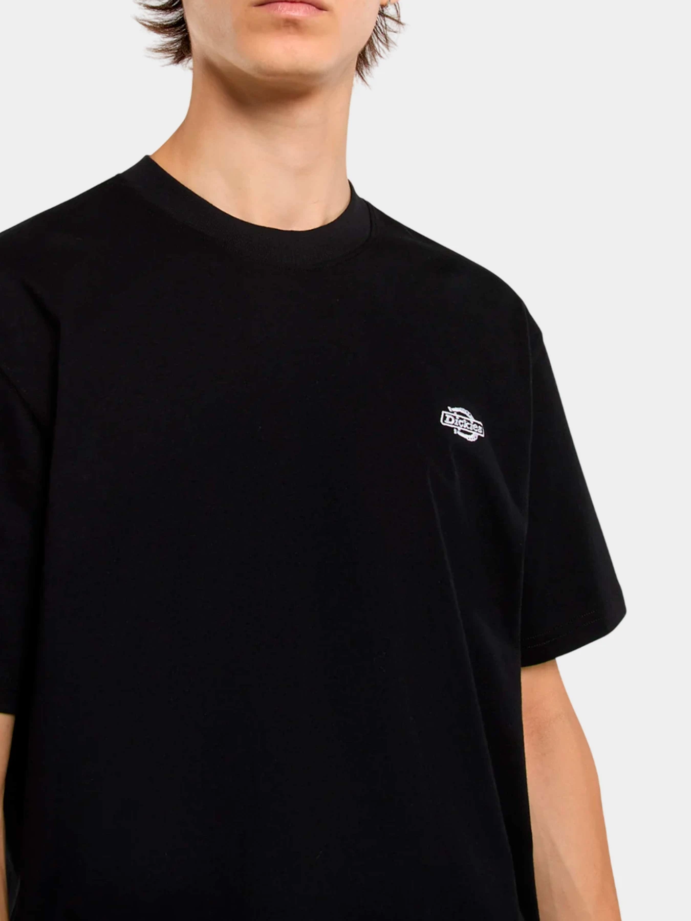 Футболки и поло Dickies модель DK0A4YAIBLK1 Футболки и поло Dickies модель DK0A4YAIBLK1 Фото