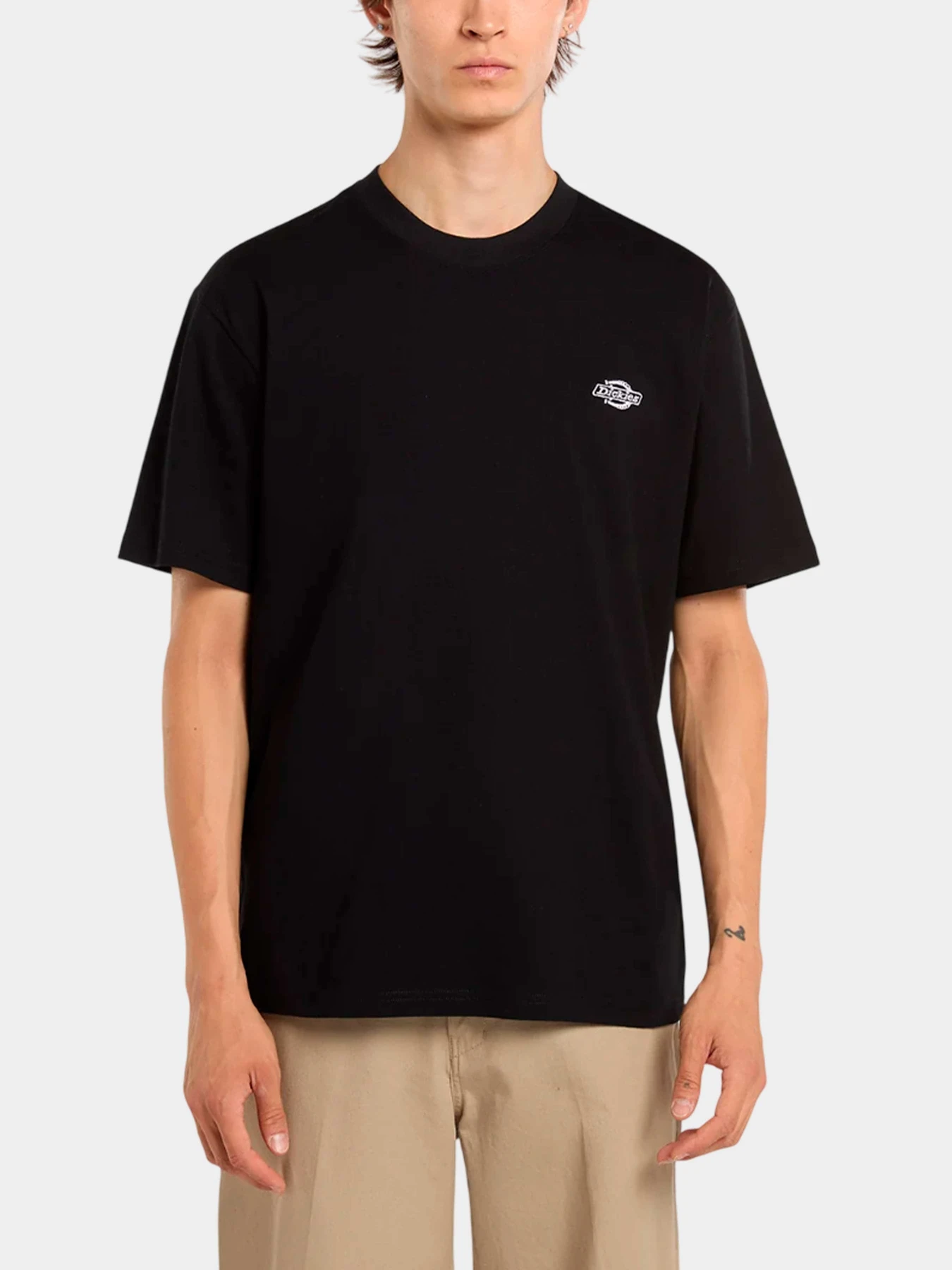Футболки и поло Dickies модель DK0A4YAIBLK1 Футболки и поло Dickies модель DK0A4YAIBLK1 Фото