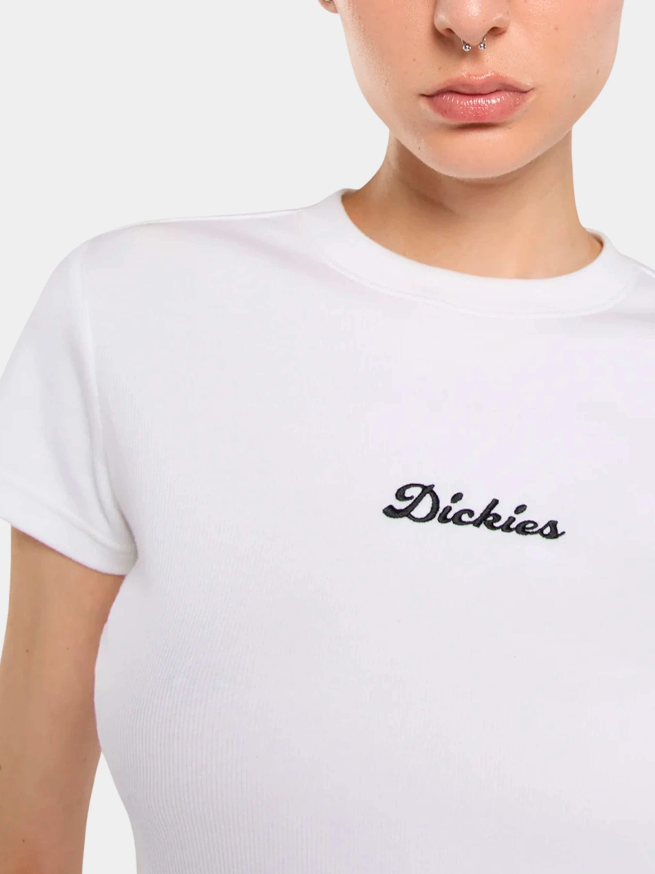 Футболки и поло Dickies модель DK0A88JT0WH1 Футболки и поло Dickies модель DK0A88JT0WH1 Фото