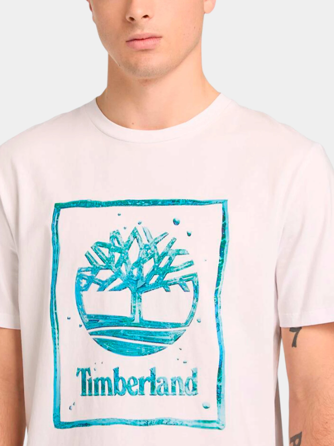 Футболки и поло Timberland модель TB0A5MV4100 Футболки и поло Timberland модель TB0A5MV4100 Фото