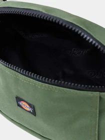 Сумки Dickies модель DK0A4X8Q0OG1 Фото