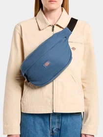 Сумки Dickies модель DK0A4XOYRI21 Фото