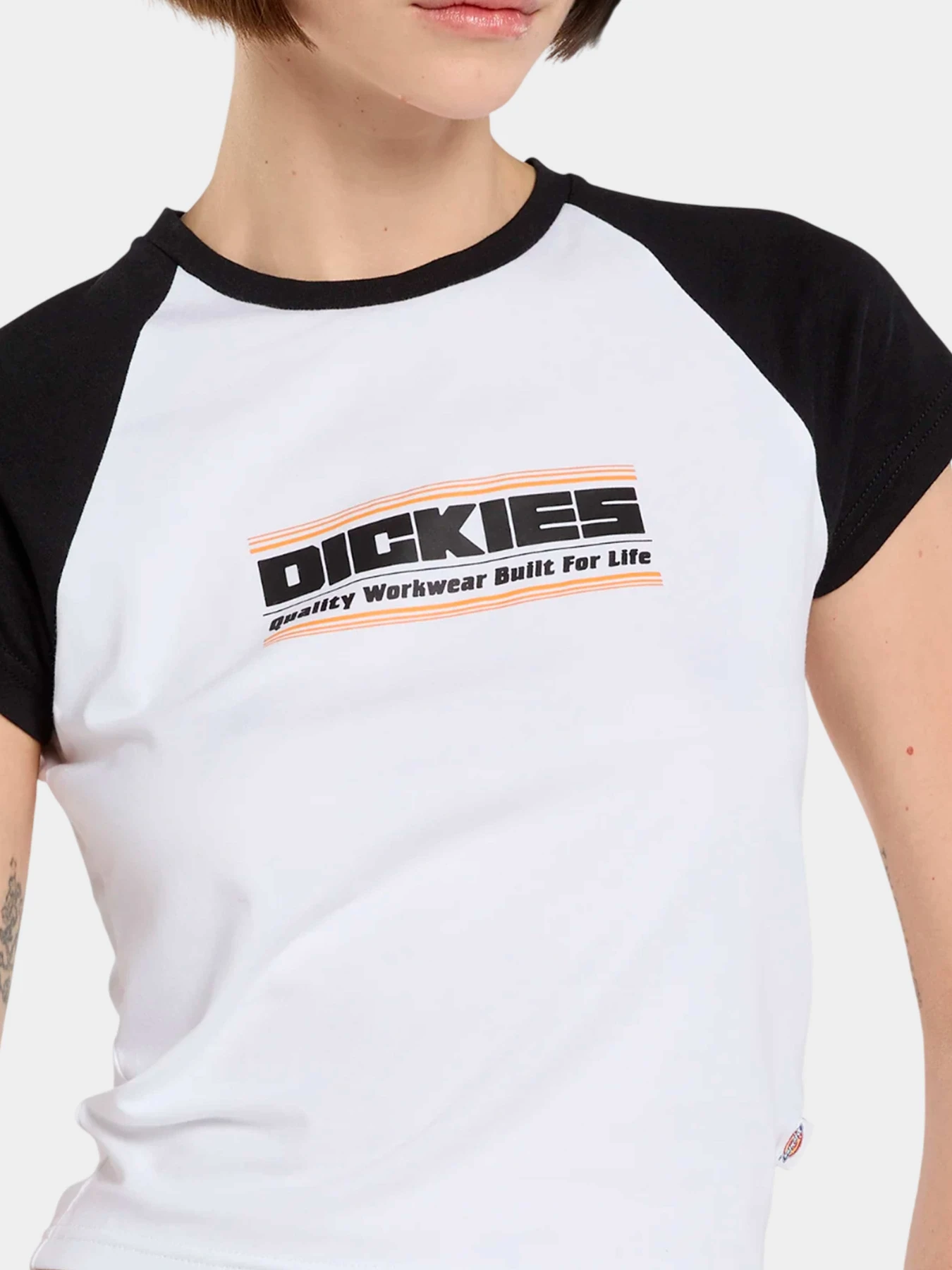 Футболки и поло Dickies модель DK0A883A0WH1 Футболки и поло Dickies модель DK0A883A0WH1 Фото