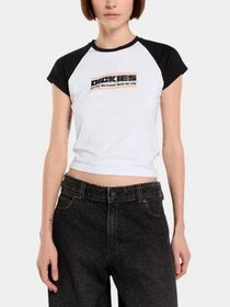 Футболки и поло Dickies модель DK0A883A0WH1 Фото