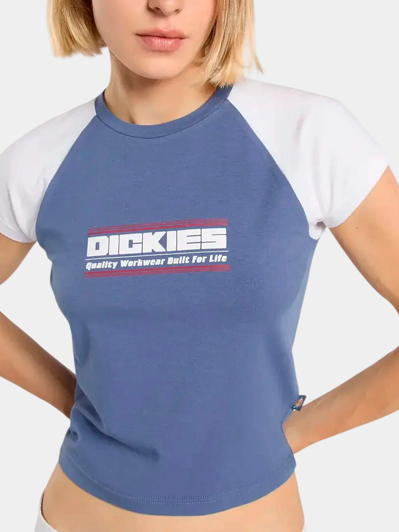 Футболки и поло Dickies модель DK0A883ARI21 Футболки и поло Dickies модель DK0A883ARI21 Фото
