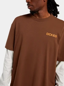 Футболки и поло Dickies модель DK0A88JF0TB1 Фото