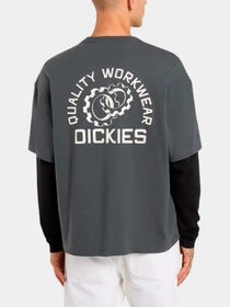 Футболки и поло Dickies модель DK0A88JFBLK1 Фото