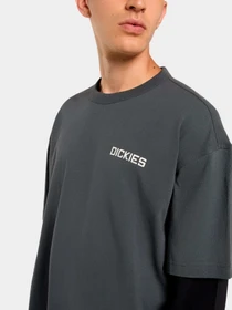 Футболки и поло Dickies модель DK0A88JFBLK1 Фото