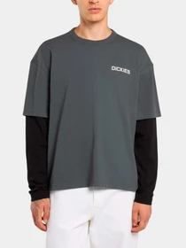 Футболки и поло Dickies модель DK0A88JFBLK1 Фото