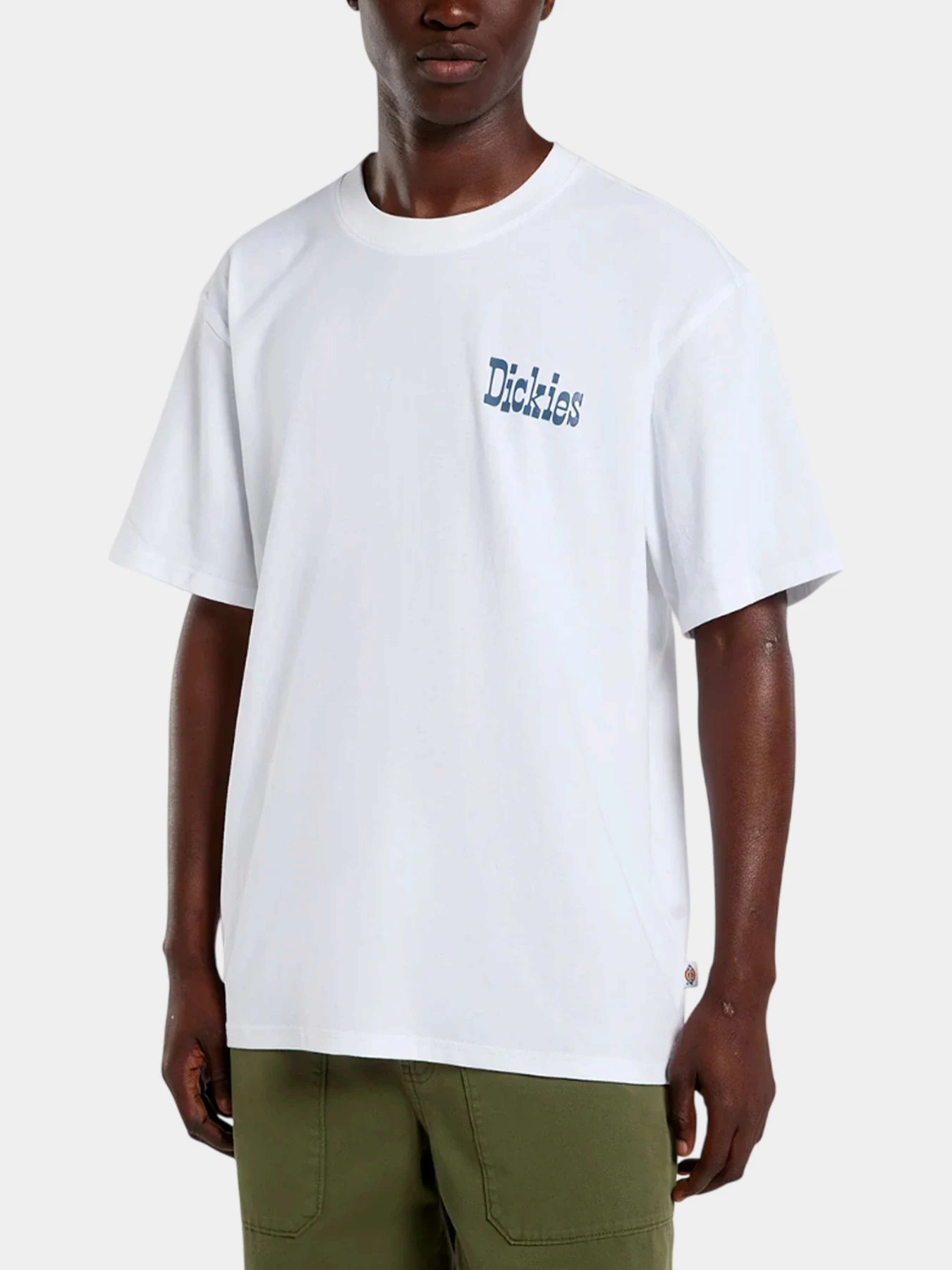 Футболки и поло Dickies модель DK0A88JV0WH1 Футболки и поло Dickies модель DK0A88JV0WH1 Фото