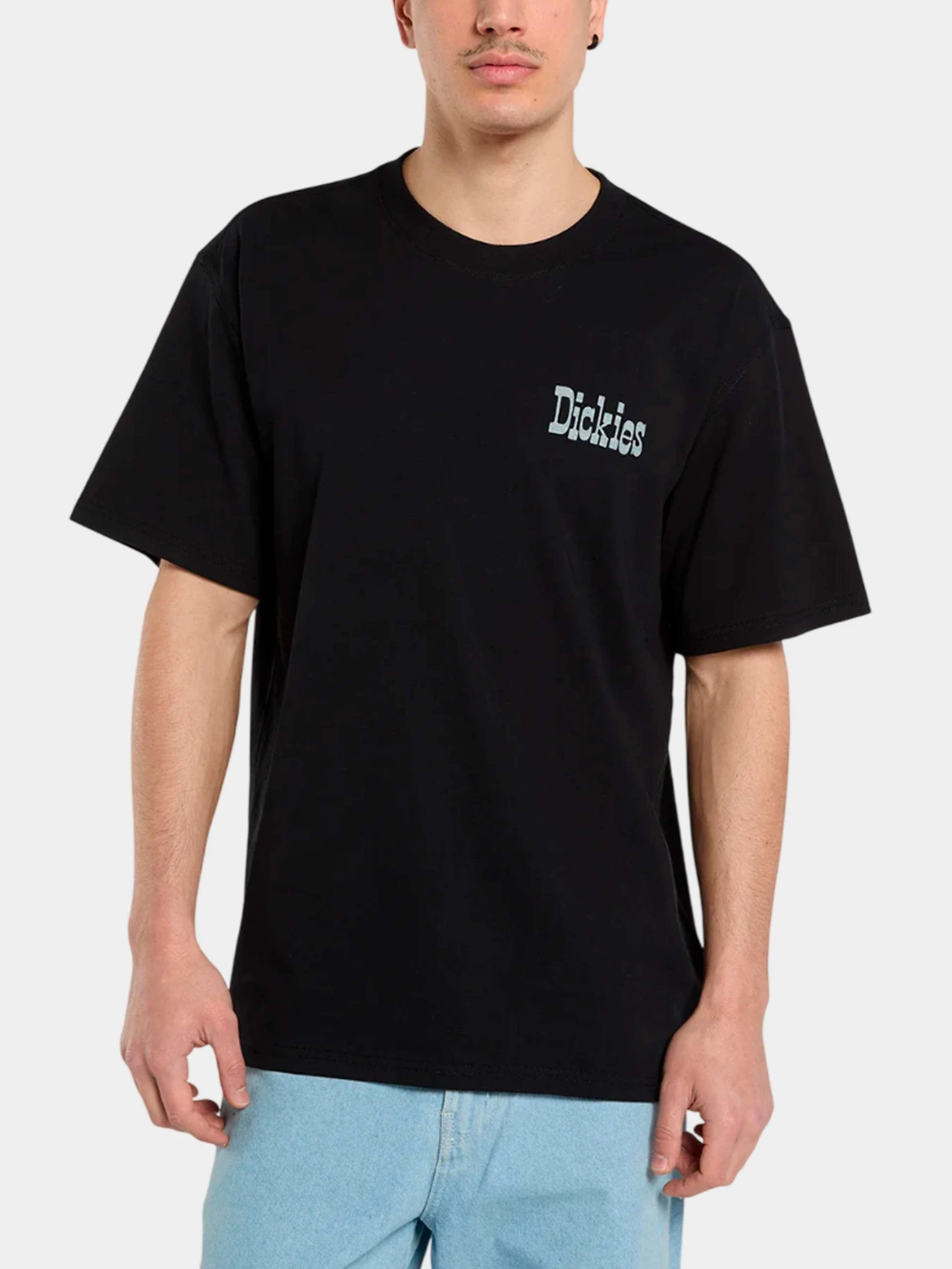 Футболки и поло Dickies модель DK0A88JVBLK1 Футболки и поло Dickies модель DK0A88JVBLK1 Фото