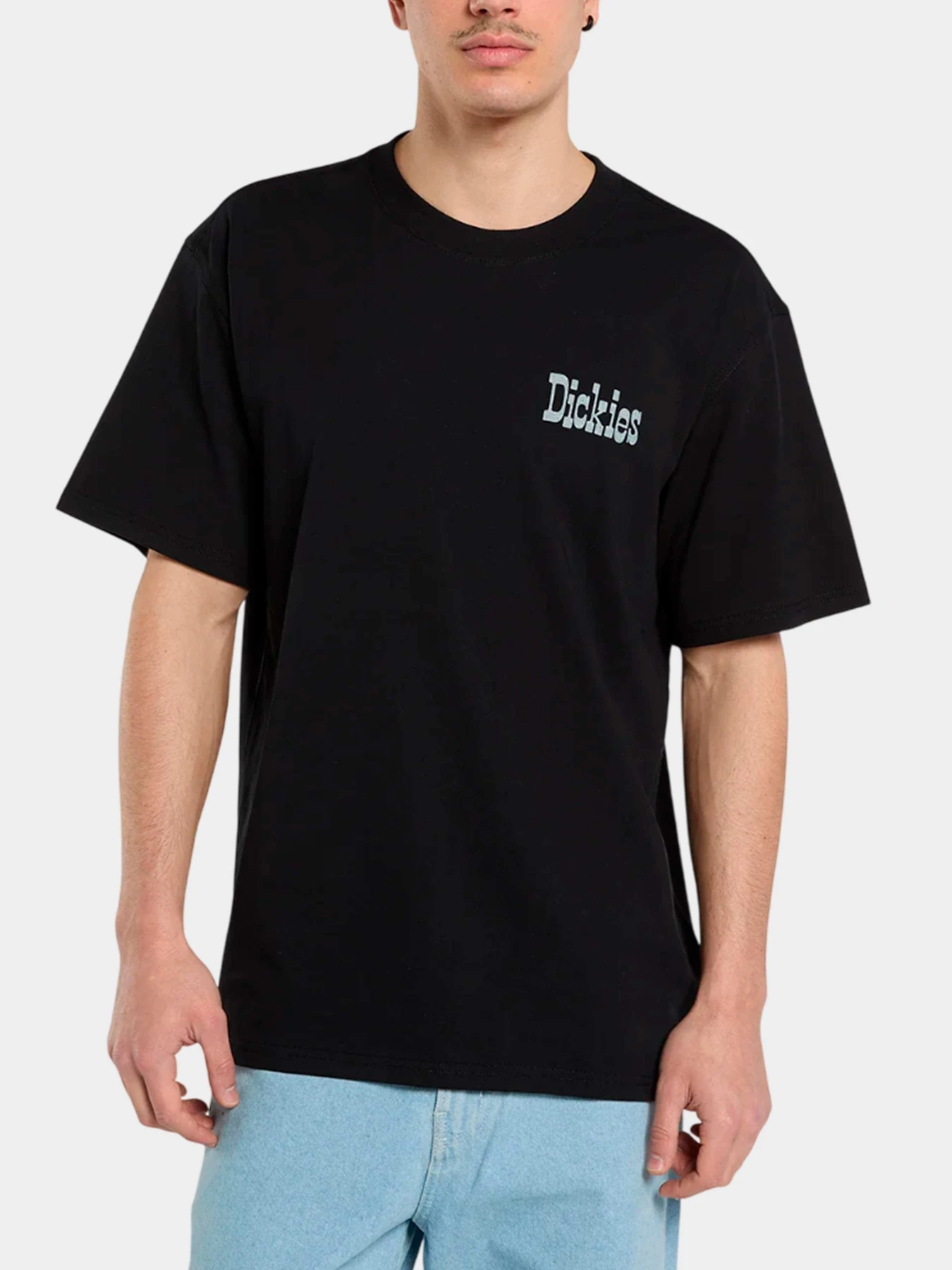 Футболки и поло Dickies модель DK0A88JVBLK1 Футболки и поло Dickies модель DK0A88JVBLK1 Фото